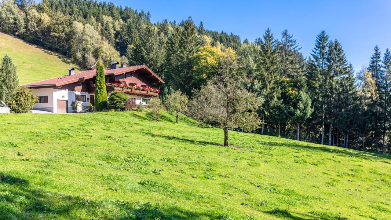 Ferienhaus Berger Mittersill Exteriör bild