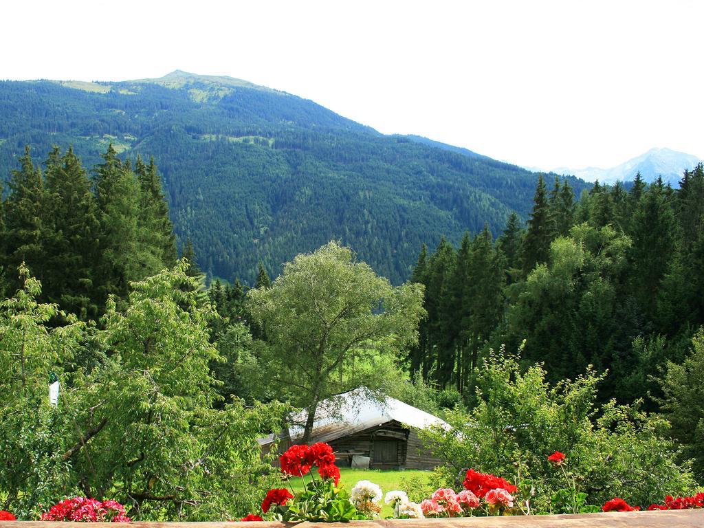 Ferienhaus Berger Mittersill Rum bild