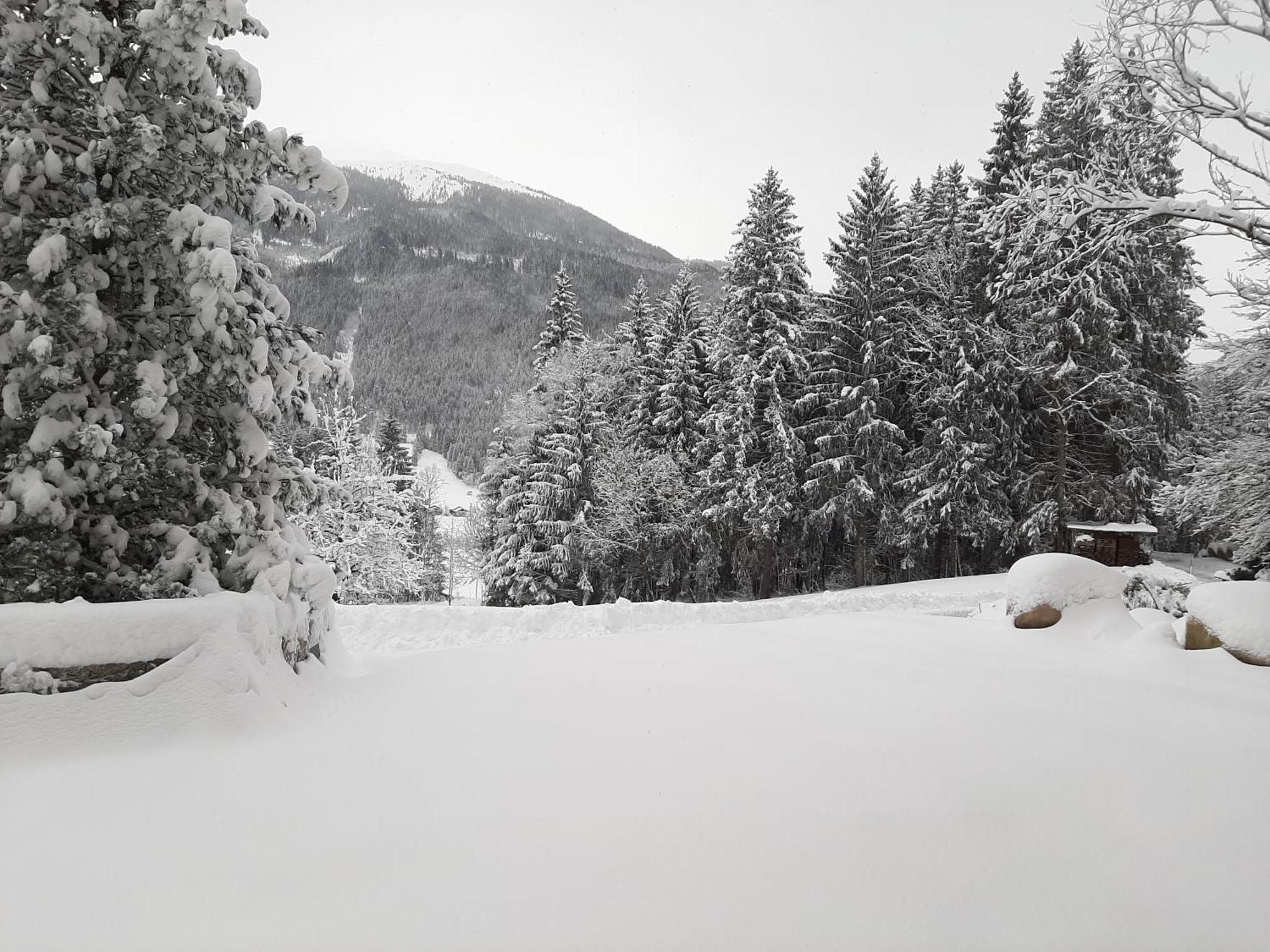 Ferienhaus Berger Mittersill Exteriör bild